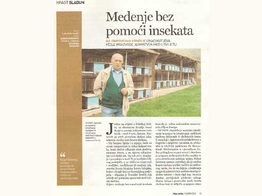 hrast-sladun-zd