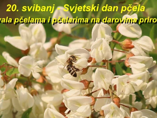 Čestitamo 20.svibanj