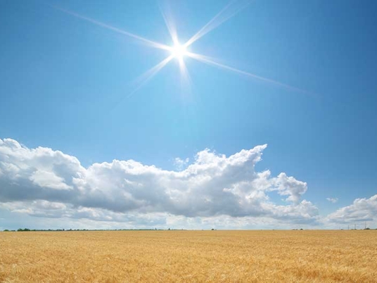 Danas na pčelinjaku 30.6.2012.