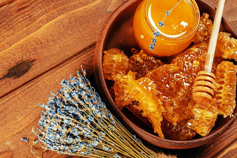 PROPOLIS