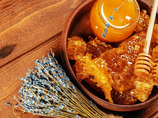 PROPOLIS