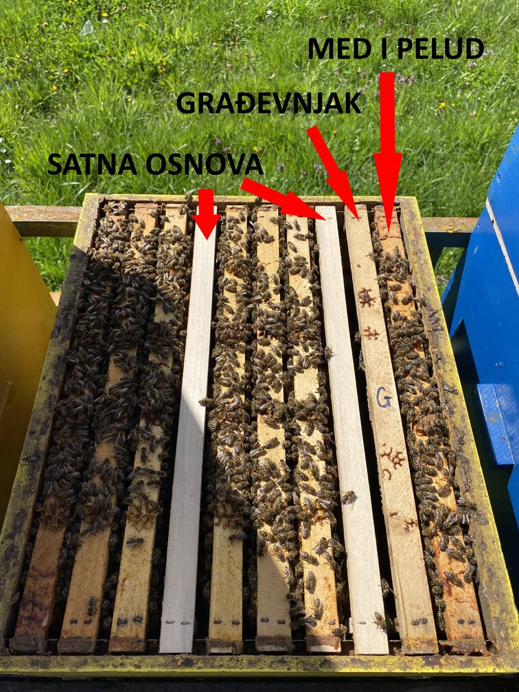 Sprječavanje rojenja pčelinje zajednice