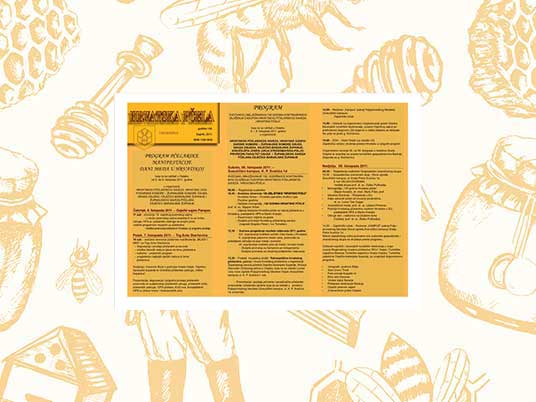 program-zd